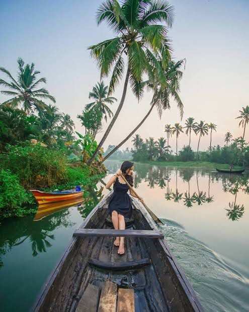 Mangrove Country Boat