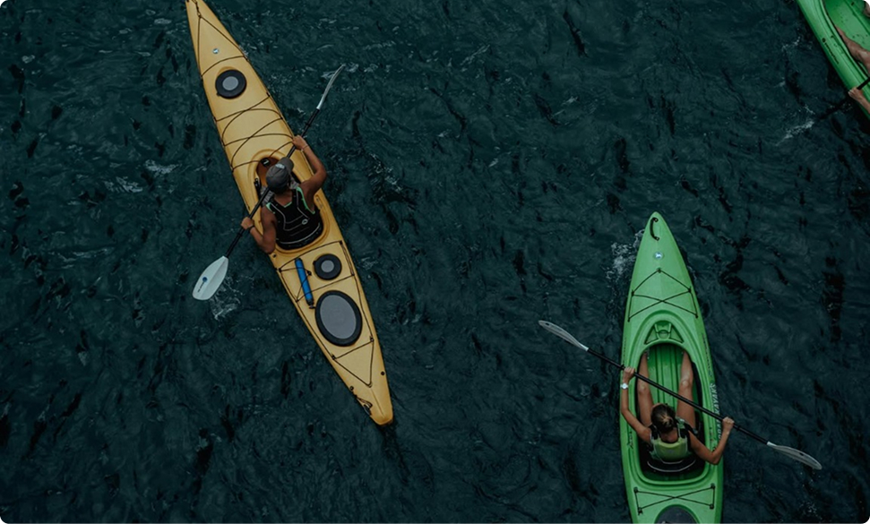 Mangrove Forest Kayaking